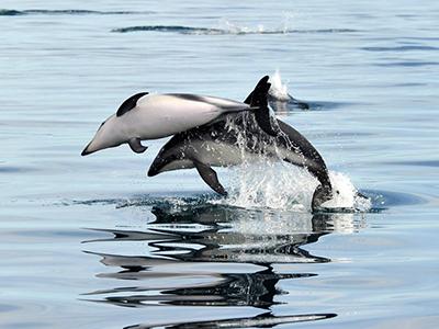 Лучшие фотографии природы 2012 года