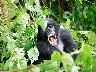 Лучшие фотографии природы 2012 года