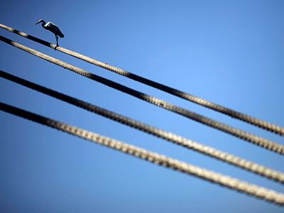 Лучшие фотографии природы 2012 года