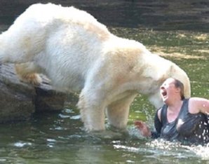 20 шокирующих нападений животных на человека