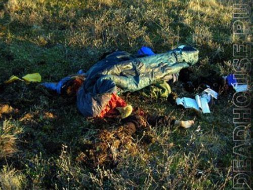 20 шокирующих нападений животных на человека