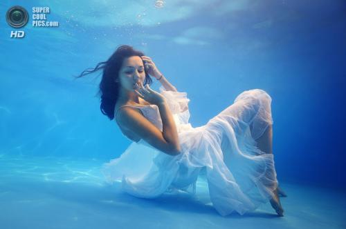 Лучшие работы конкурса подводной фотографии 2014 года