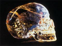 Хрустальный череп транслирует сны