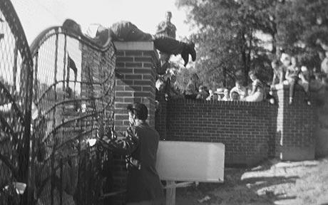 Найдены неизвестные фотографии Элвиса Пресли