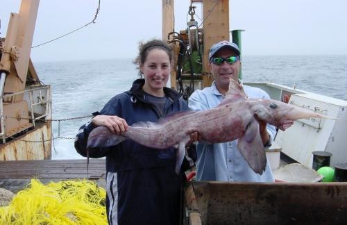 Десять самых необычных океанских рыб