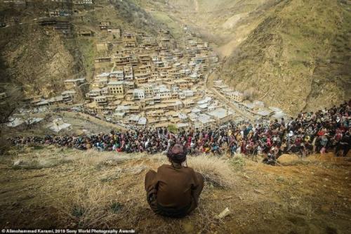 Лучшие работы Sony World Photography Awards 2019