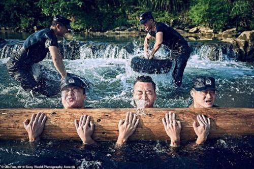 Лучшие работы Sony World Photography Awards 2019