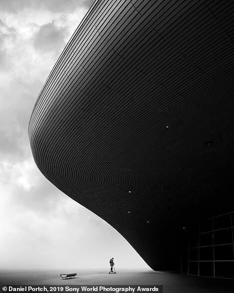 Лучшие работы Sony World Photography Awards 2019