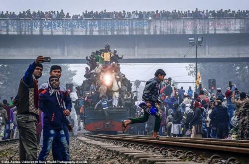 Лучшие работы Sony World Photography Awards 2019