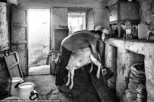 Лучшие работы Sony World Photography Awards 2019