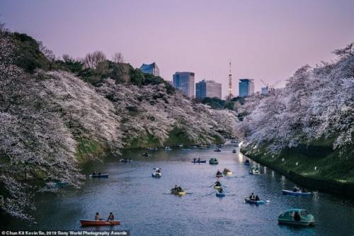 Лучшие работы Sony World Photography Awards 2019