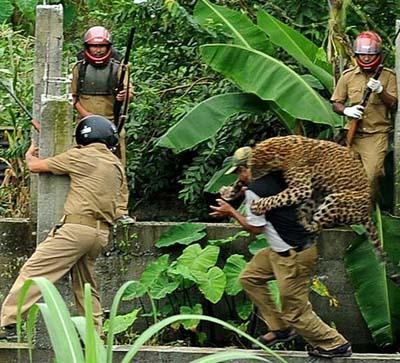 Люди, которые выжили в схватке с самыми опасными животными