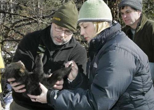 Энтузиасты спасли от гибели новорожденных медвежат