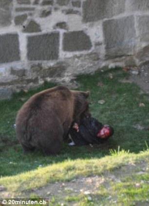 СМИ распространили кадры схватки медведя с человеком