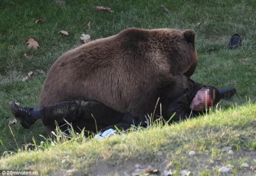 СМИ распространили кадры схватки медведя с человеком