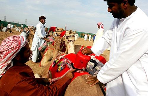 Роботы выбили людей из  седла