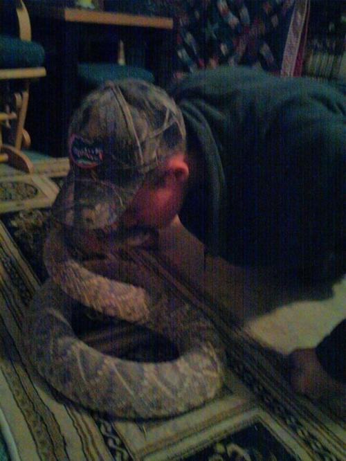 Почему не стоит целоваться с ядовитыми змеями