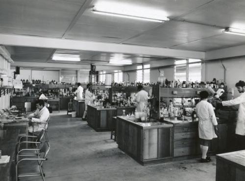 Самые злые эксперименты над человеком