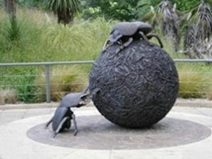 Самые сильные существа на земле