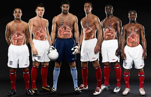 Английские футболисты показали свои внутренности