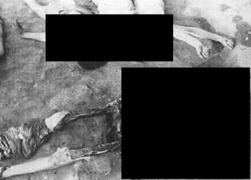 Самые известные случаи каннибализма ради выживания