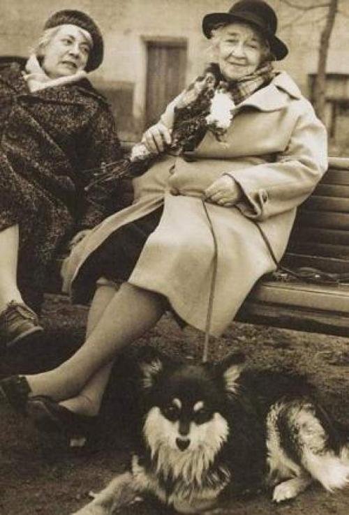 Звезды, у которых никогда не было детей