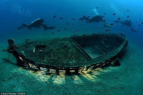 Лучшие подводные снимки с конкурса Underwater Photographer of the Year 2018