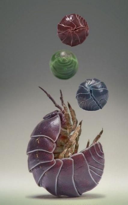 Поляк заглянул в глаза гусеницам и богомолам