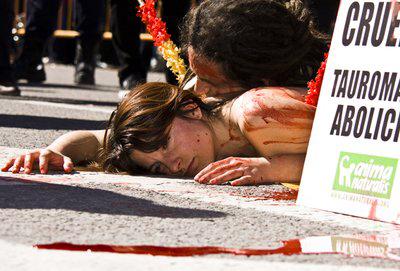 Экзотический протест против убийства быков