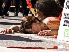 Экзотический протест против убийства быков