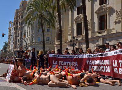 Экзотический протест против убийства быков