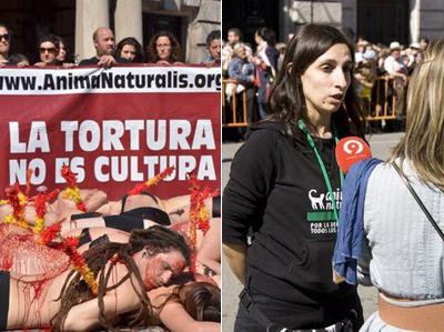 Экзотический протест против убийства быков