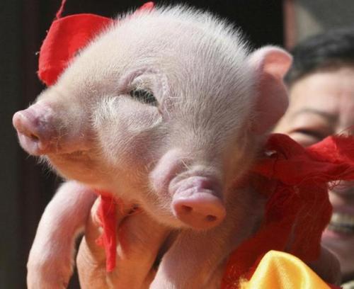 Природные аномалии