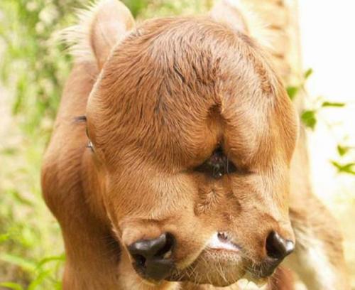 Природные аномалии