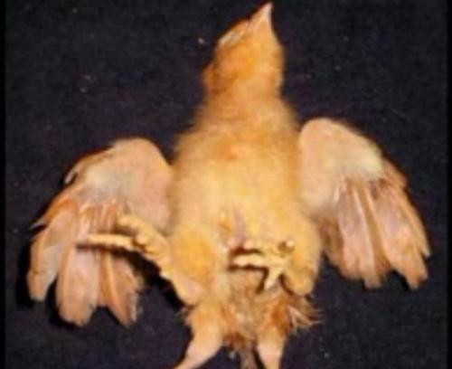 Природные аномалии