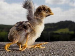 Природные аномалии