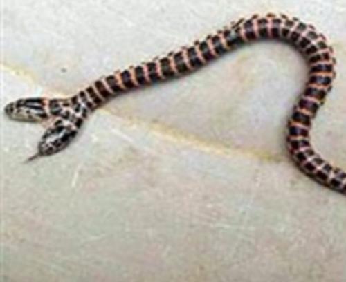 Природные аномалии