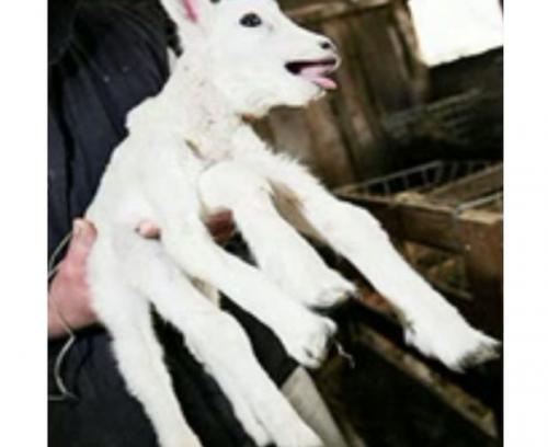 Природные аномалии