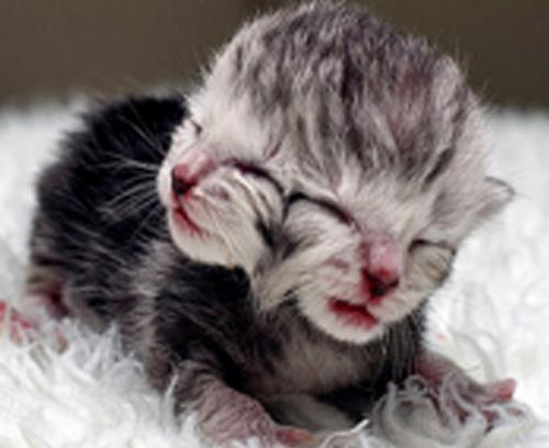 Природные аномалии