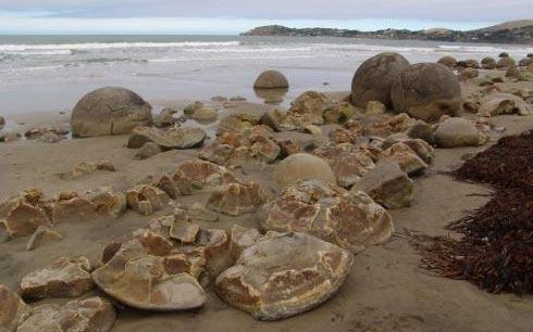 В Новой Зеландии нашли «арбузы Ильи Пророка»