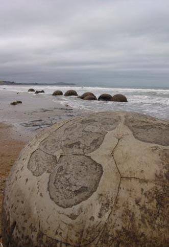 В Новой Зеландии нашли «арбузы Ильи Пророка»