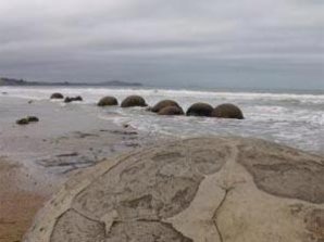 В Новой Зеландии нашли «арбузы Ильи Пророка»