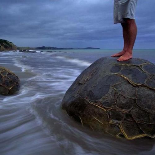 В Новой Зеландии нашли «арбузы Ильи Пророка»