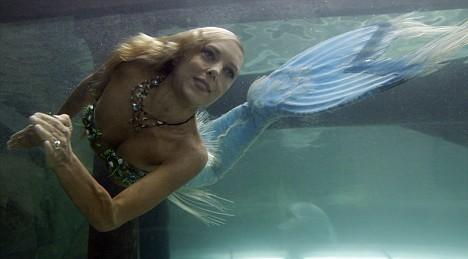 В южнокорейском аквариуме  завелись русалки-снегурочки, а в Сиднее просто русалка