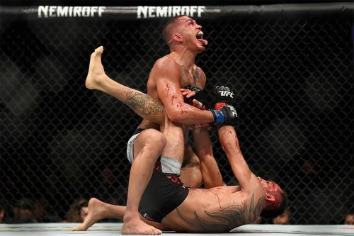 Лучшие спортивные фотографии 2018 года от Getty Images