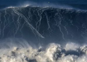 Лучшие спортивные фотографии 2018 года от Getty Images