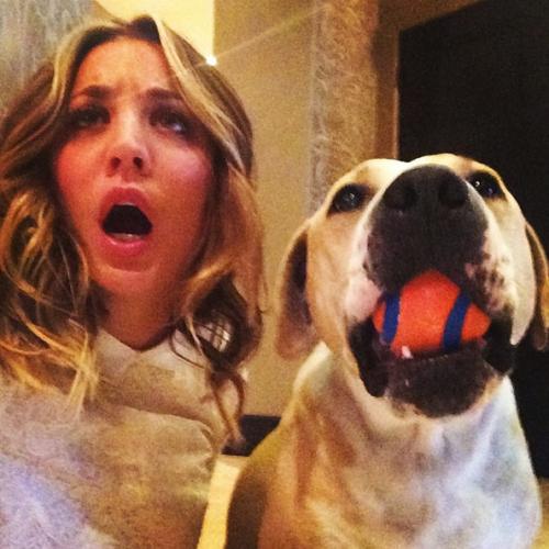 Съедобная нога и селфи бровей: что публикуют звезды в Instagram