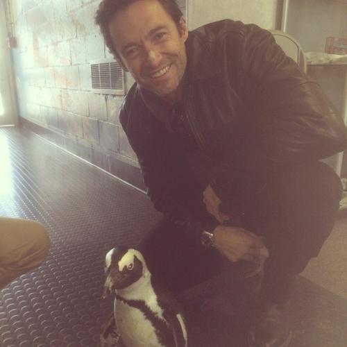 Съедобная нога и селфи бровей: что публикуют звезды в Instagram