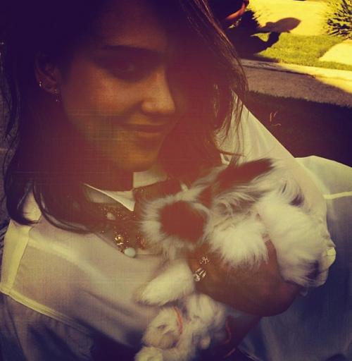 Съедобная нога и селфи бровей: что публикуют звезды в Instagram