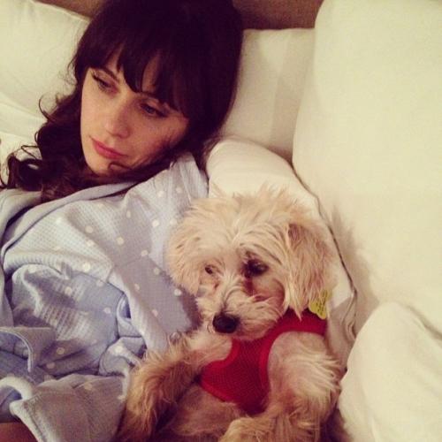 Съедобная нога и селфи бровей: что публикуют звезды в Instagram